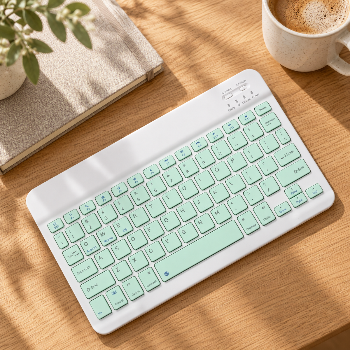 RhinoKeys Color warm studio workspace