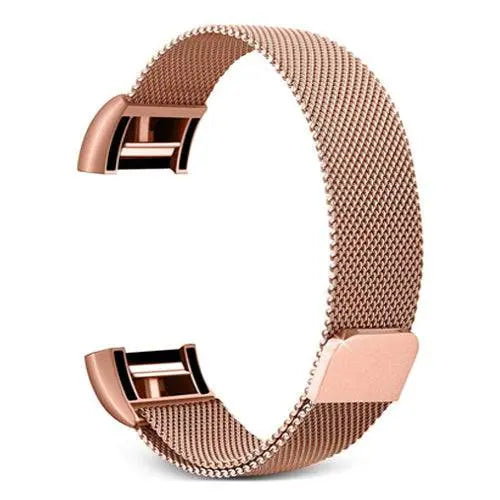 Fitbit Charge 2 Prestige Stainless Steel Mesh Loop Band - Avontic