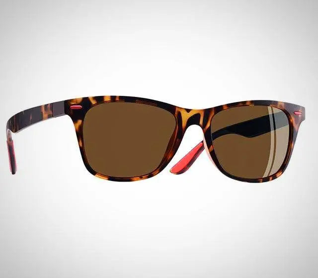 Warrior - Pinnacle Luxuries