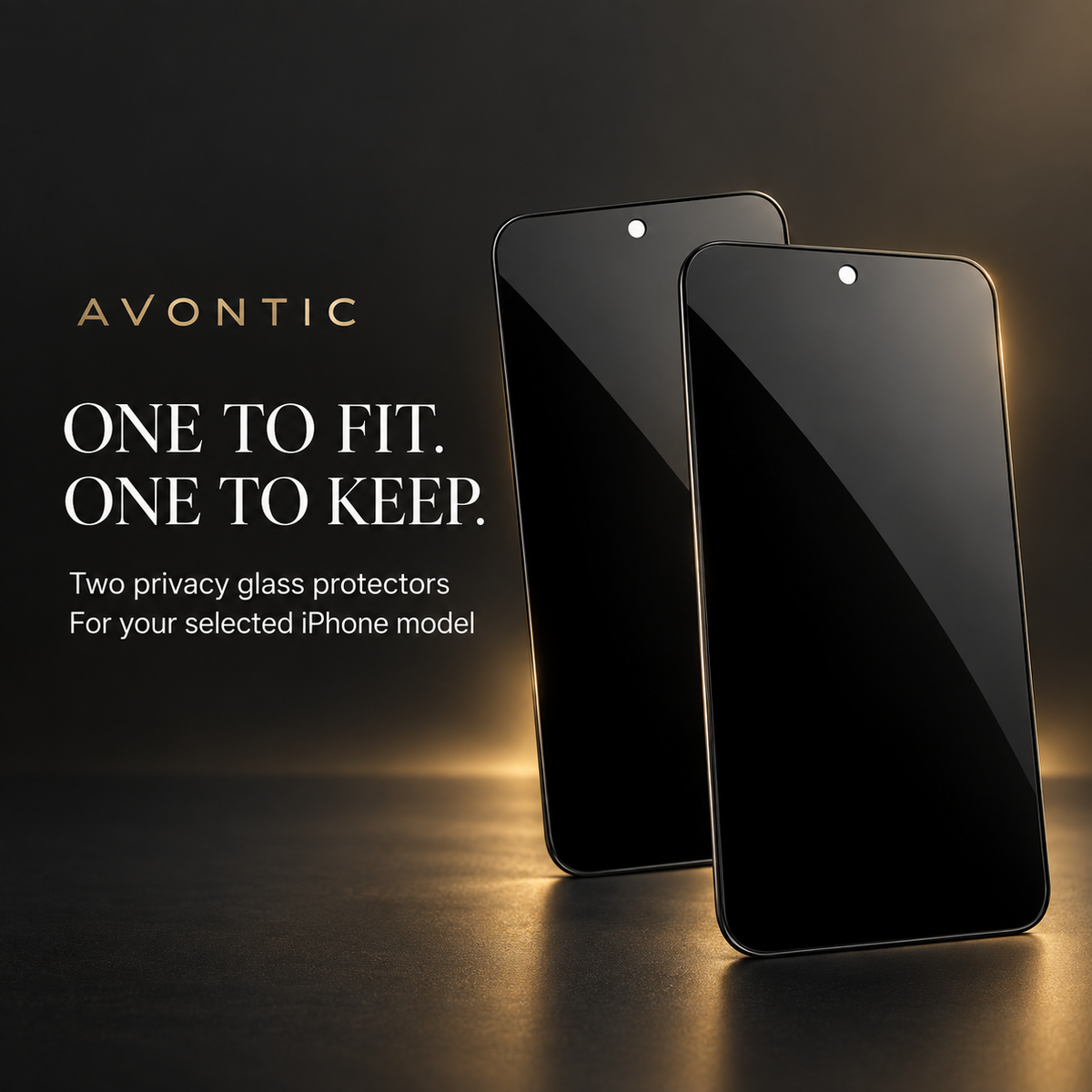 Two StealthGuard privacy glass protectors with the message One to fit. One to keep.